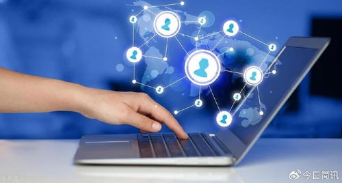 山东中软创客 以卓越互联网创新能力领跑网络技术服务