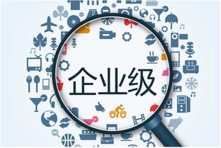 码客案例 销售易——移动CRM领导者与卓越网络技术服务